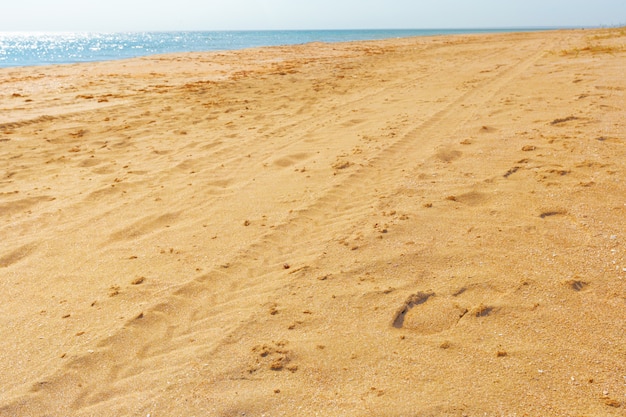 Spiaggia tropicale