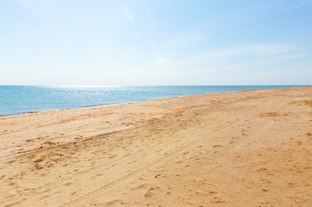 Spiaggia tropicale