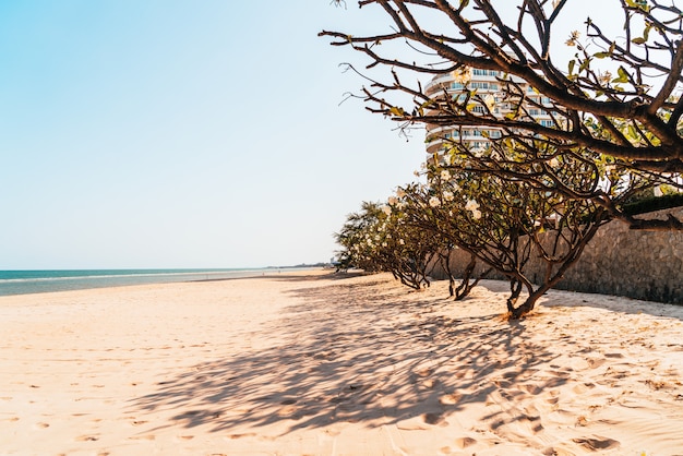 spiaggia vuota mare