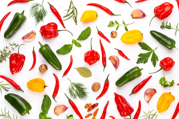 Spice foglie di erbe e peperoncino su sfondo bianco. Modello di verdure. Floreale e verdure su sfondo bianco. Vista dall'alto, piatto.