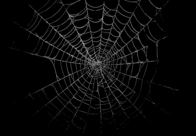 Spider Web Textures Modifica la grafica liberare la creatività con immagini accattivanti
