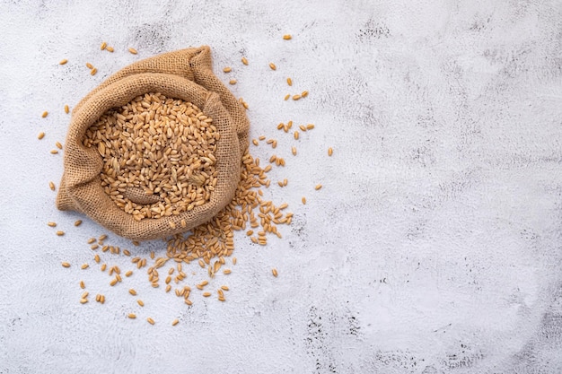 Spighe di grano e chicchi di grano allestiti su fondo di cemento bianco