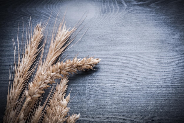 Spighe di grano e segale su tavola di legno