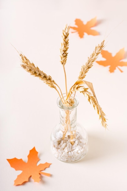 Spighe di grano in una bottiglia decorativa e foglie d'acero artigianali su sfondo chiaro Decorazione autunnale