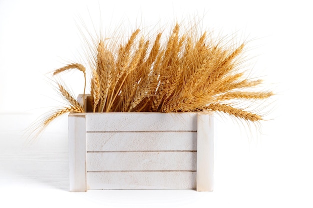 Spighe di grano in una scatola di legno bianca