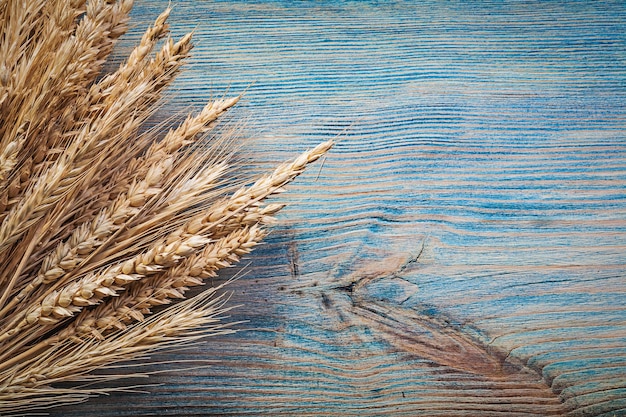 Spighe di grano su legno