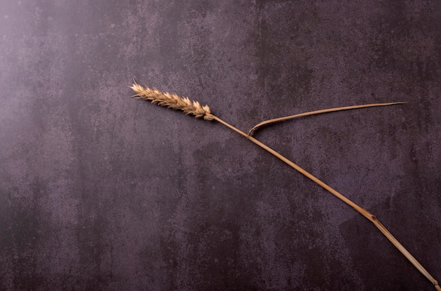 Spighe di grano, su una base testurizzata