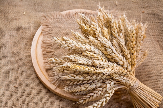 Spighe di grano su una vecchia tela di lino