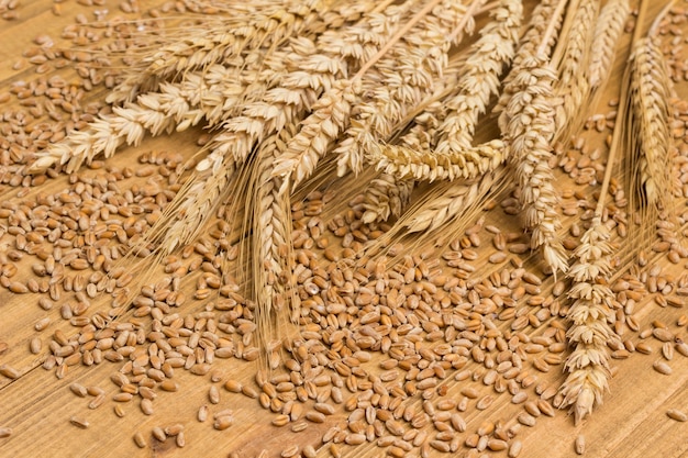 Spighette di grano e cereali integrali. Carboidrati sani. Fibra alimentare. Sfondo di legno, da vicino