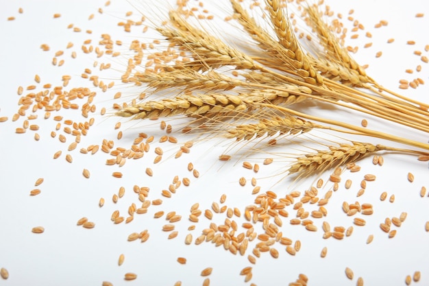 Spighette di grano e cereali su sfondo chiaro