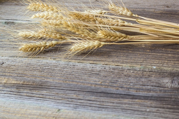 Spighette di grano sulla vecchia tavola di legno naturale.