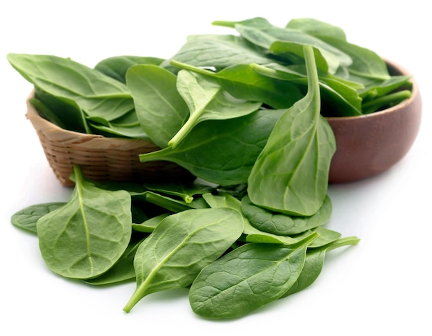 Spinaci freschi in cestino su sfondo bianco