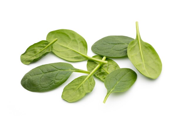 Spinaci freschi isolati sul bianco.