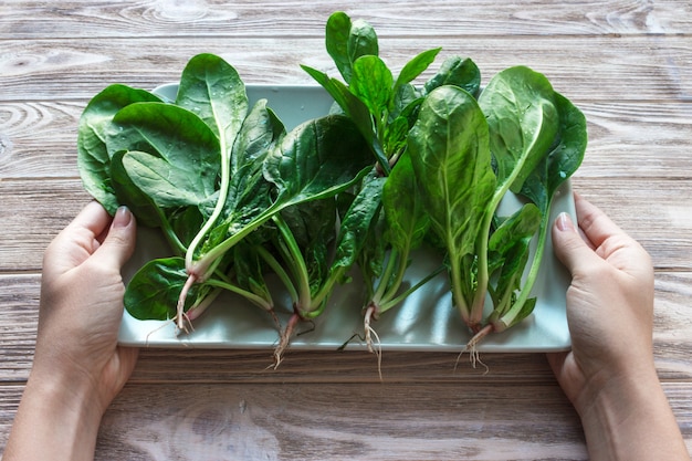 Spinaci freschi nel piatto