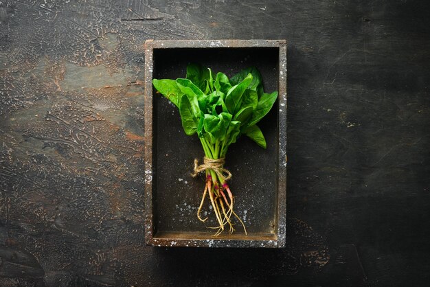 Spinaci in una scatola di legno. Cibo salutare. Vista dall'alto. Spazio libero per il tuo testo.