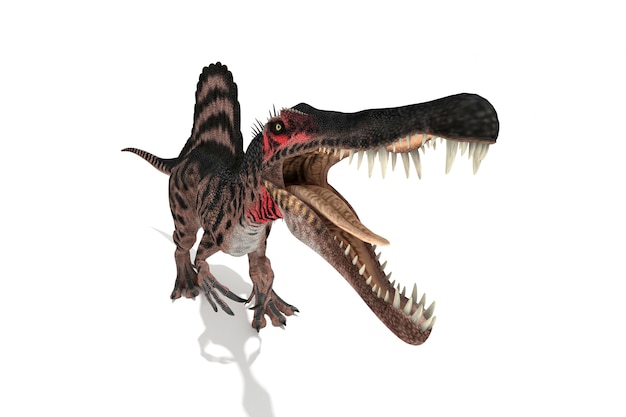 Spinosaurus set di angoli su uno sfondo bianco 3D'illustrazione