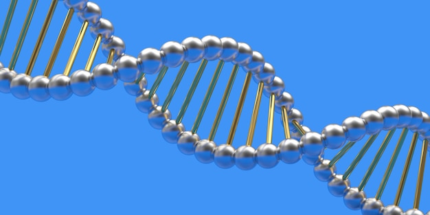 Spirali del DNA 3d