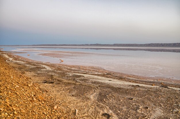 Splendida alba sul lago salato Chott el Djerid deserto del Sahara T