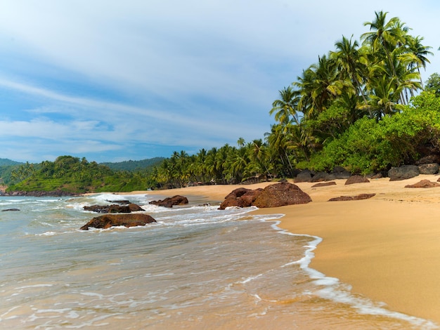 Splendida costa del mare a Goa. India