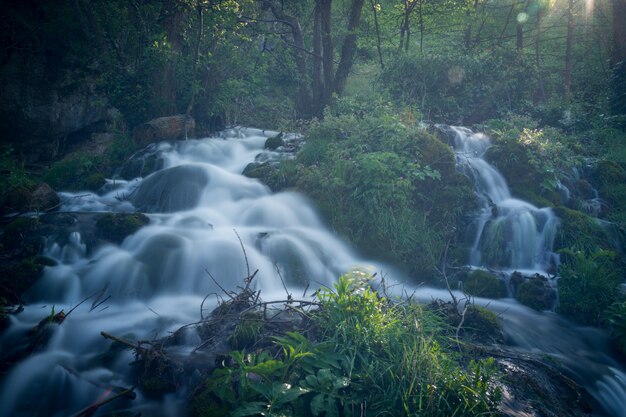 Splendida natura con acqua che scorre tutto intorno