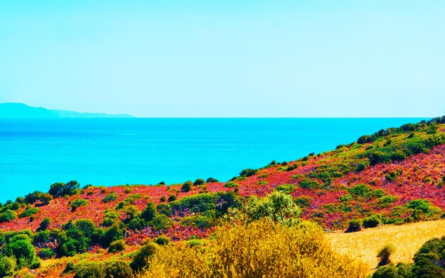 Splendida natura di Villasimius e con le acque blu del Mar Mediterraneo sull'isola di Sardegna in Italia in estate. provincia di Cagliari. Paesaggio e paesaggio