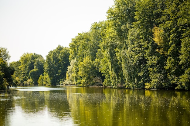 Splendida natura in una luminosa giornata di sole