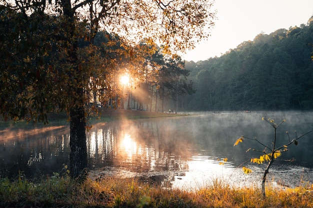 Splendida natura lago e foresta al mattinoPang Ung Mae Hong Son Thailandia