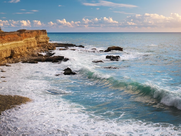 Splendida natura marina