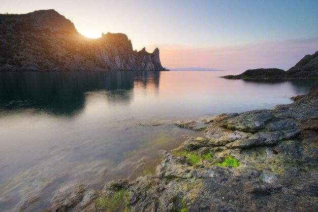 Splendida natura marina