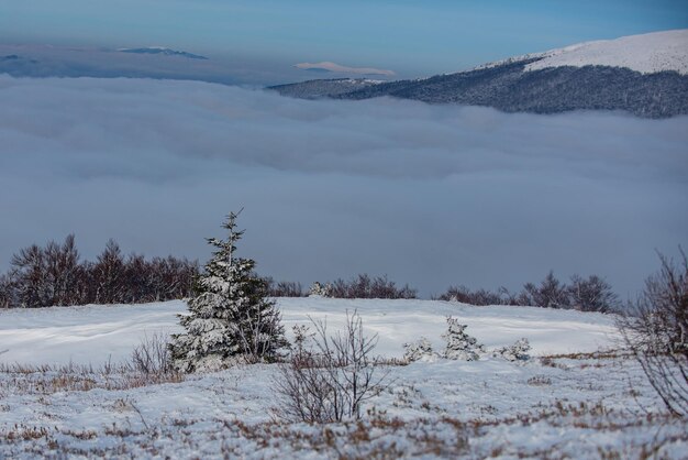 Splendida scena di Natale in montagna. Paesaggio innevato, montagne innevate. Inverno nella foresta.