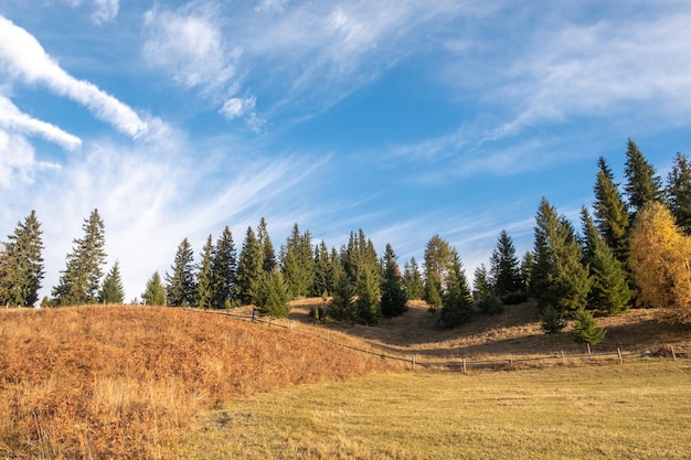 Splendida scena mattutina soleggiata Splendida vista sul paesaggio montano dei Carpazi con prati autunnali e alberi in una splendida giornata di sole con cielo blu