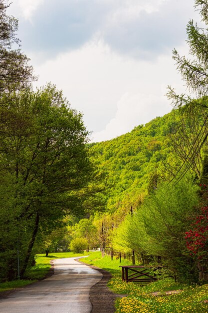 Splendida strada dopo la pioggia in un piccolo villaggio di montagna