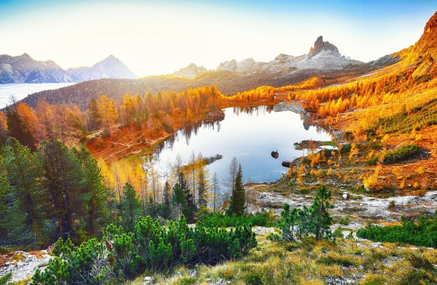 Splendida veduta aerea del cristallino Lago Federa nelle Alpi dolomitiche sotto la luce del sole nella nebbia e nella nebbia