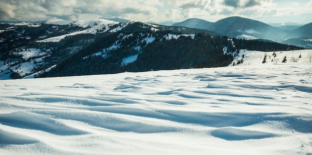 Splendida vista ammaliante dei pendii montuosi con fitti boschetti di alberi e cumuli di neve contro il cielo e nuvole bianche in una fredda giornata invernale Concetto di stazione sciistica e relax in montagna