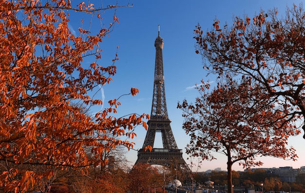 Splendida vista degli alberi autunnali con la Torre Eiffel in primo piano a Parigi