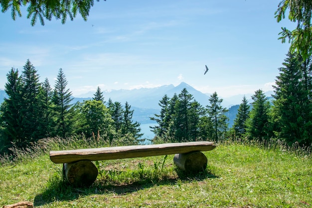 Splendida vista di una panca di legno nell'area di riposo della foresta per gli escursionisti a Interlaken