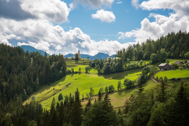 Splendida vista estiva della straordinaria natura della Slovenia. Strada panoramica Logarska Dolina e Solcava.