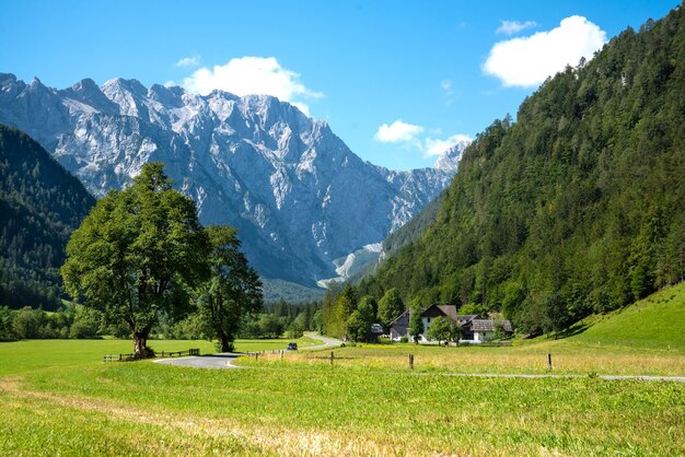 Splendida vista estiva della straordinaria natura della Slovenia. Strada panoramica Logarska Dolina e Solcava.