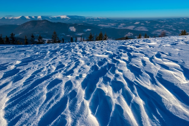 Splendida vista ipnotizzante delle onde di neve da sci che si affacciano sulla foresta di conifere e sulle catene montuose in una gelida giornata invernale di sole. Concetto di vacanza sugli sci. Spazio pubblicitario