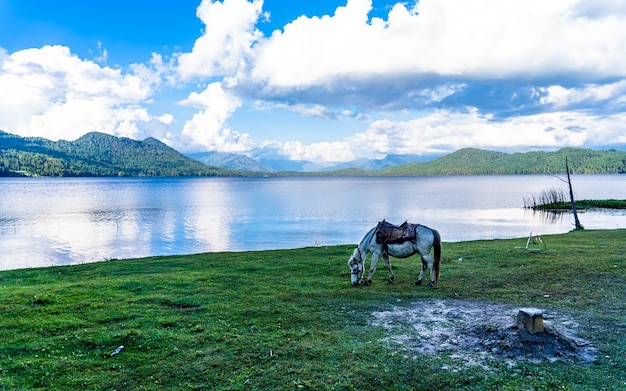 Splendida vista panoramica del lago Rara a Mugu, Nepal.