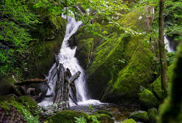 Splendida vista panoramica dell'acqua caduta paesaggio verde foresta in estate, Ghyll Force, Ambleside, Lake District National Park, Regno Unito