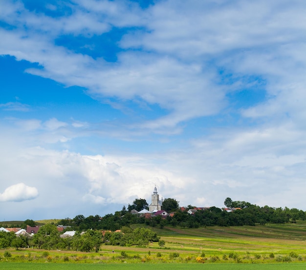 Splendida vista sulla natura estiva con prato verde, alberi e antico castello circondato da case