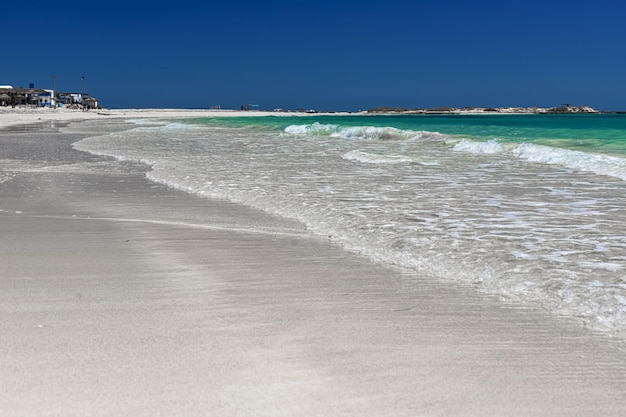 Splendida vista sulla spiaggia di sabbia bianca della spiaggia della laguna e sul mare blu Isola di Djerba Tunisia