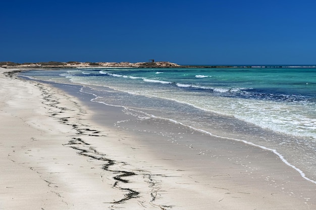 Splendida vista sulla spiaggia di sabbia bianca della spiaggia della laguna e sul mare blu Isola di Djerba Tunisia