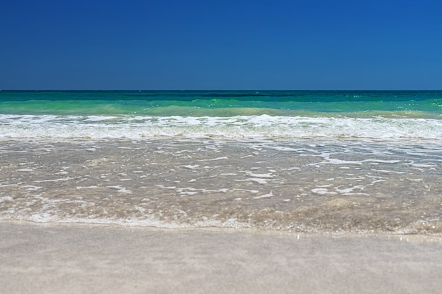 splendida vista sulla spiaggia