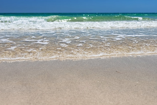 splendida vista sulla spiaggia