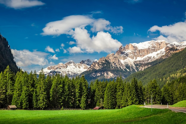 Splendida vista sulla valle nelle Dolomiti Alpi Italia Europa