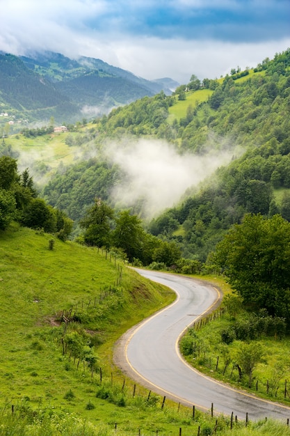 Splendida vista sulle montagne di Highland e alberi?