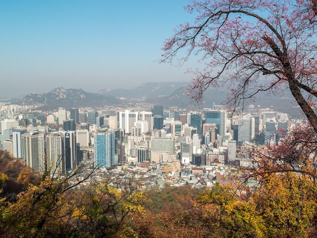 Splendida vista sulle montagne di Seoul