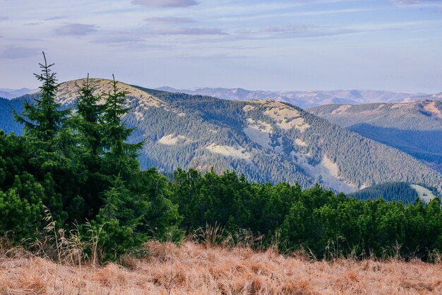 Splendida vista sulle montagne